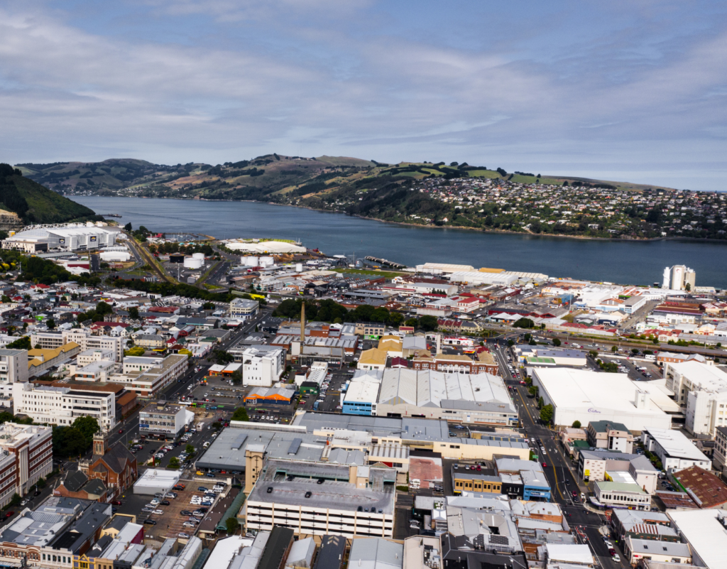 dunedin